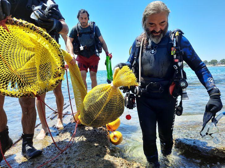 Mersin'de dalış etkinliğinde 37 zehirli deniz kestanesi tespit edildi G4