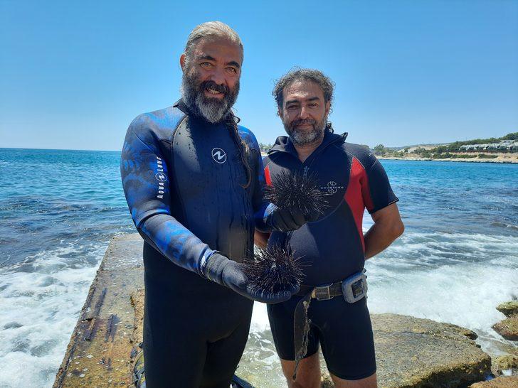 Mersin'de dalış etkinliğinde 37 zehirli deniz kestanesi tespit edildi G5