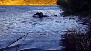 Kahramanmaraş'ta feci kaza: Otomobil baraj gölüne uçtu! Astsubay ve arkadaşı hayatını kaybetti