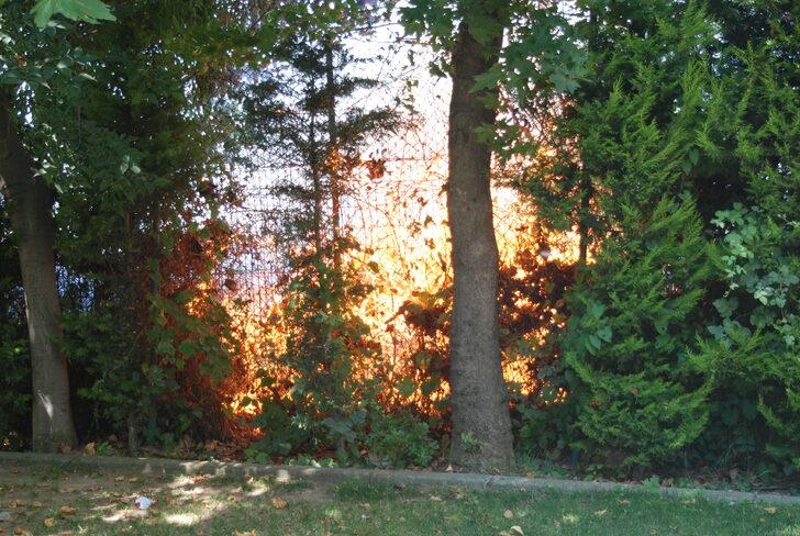 Maltepe'de otluk alanda çıkan yangın söndürüldü G1