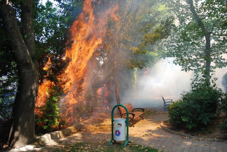 Maltepe'de otluk alanda çıkan yangın söndürüldü G3