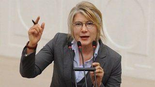 Anadolu Partisi'nden Emine Ülker Tarhan açıklaması