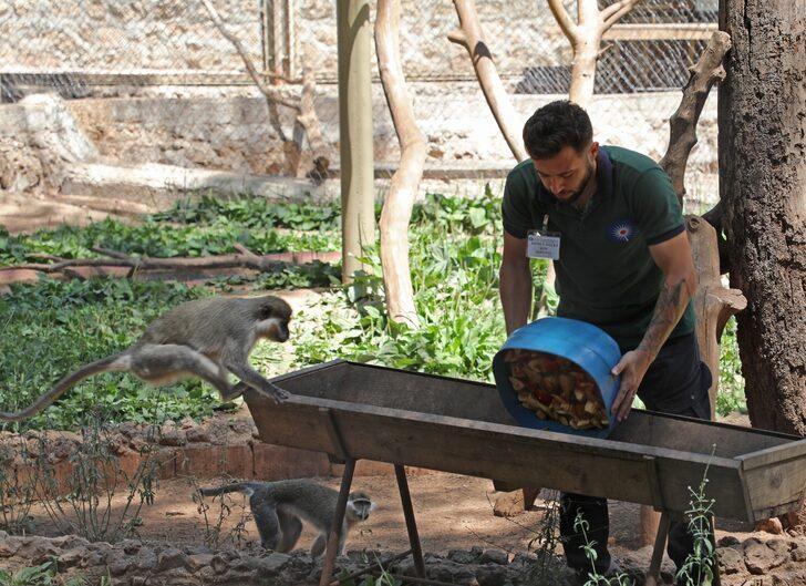 Antalya'da sıcaktan bunalan hayvanlara buzlu meyve kokteyli G1