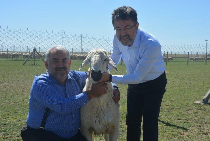 Tarım ve Orman Bakan Yardımcısı Yumaklı, Karapınar'da incelemelerde bulundu: G1