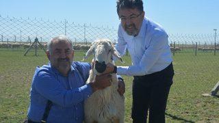 Tarım ve Orman Bakan Yardımcısı Yumaklı, Karapınar'da incelemelerde bulundu: