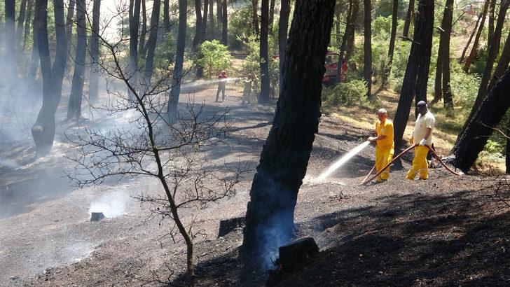 Çanakkale'de kaza yapan araçta başlayıp ormana sıçrayan yangına müdahale ediliyor G3