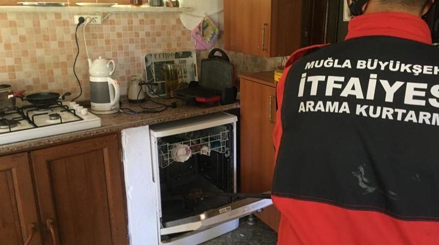 Bulaşık makinesinden çıktı! Hayatlarının şokunu yaşadılar