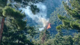 Adana'da çıkan orman yangınına müdahale ediliyor