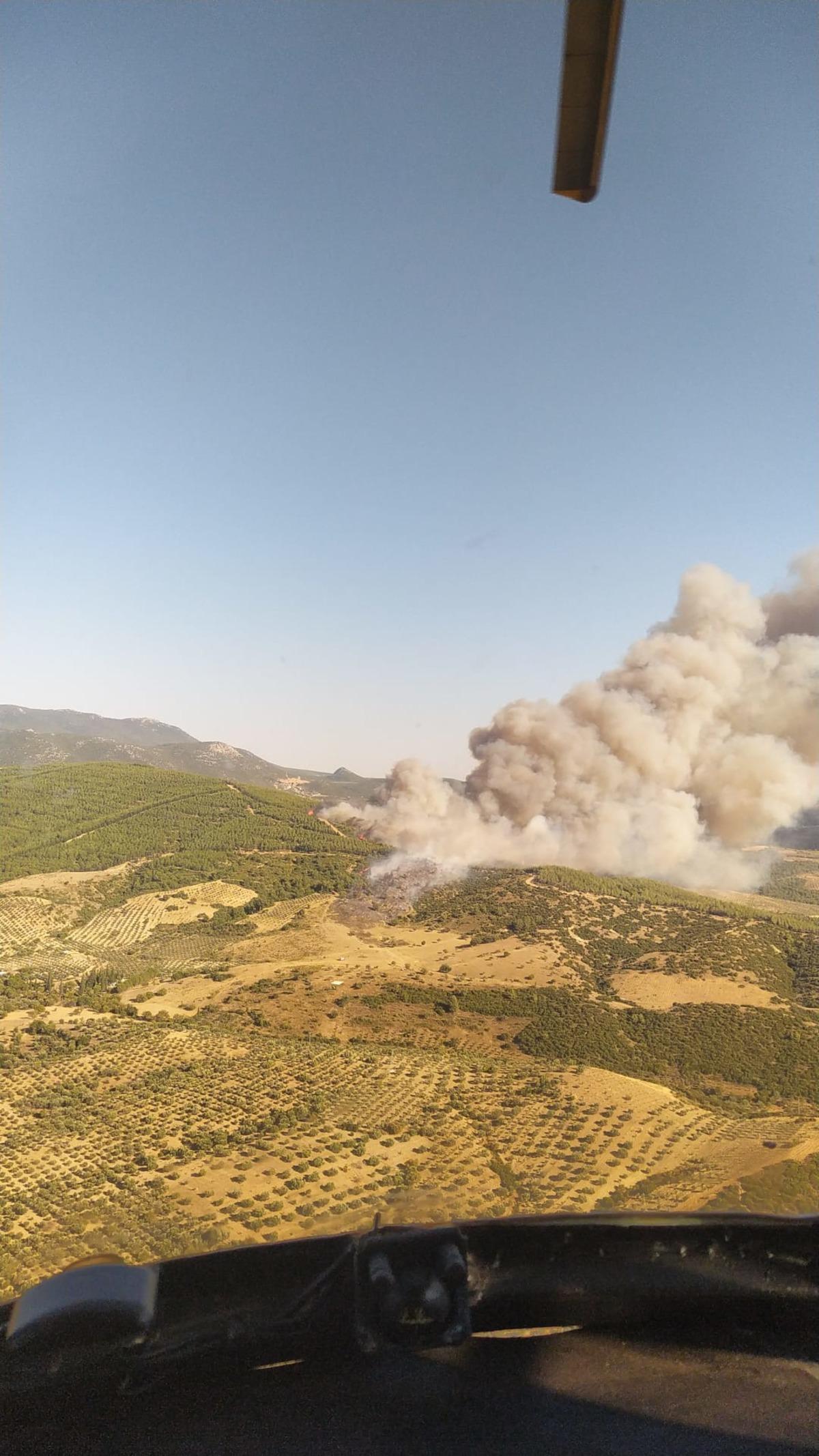 Manisa&rsquo;da orman yangını &ccedil;ıktı