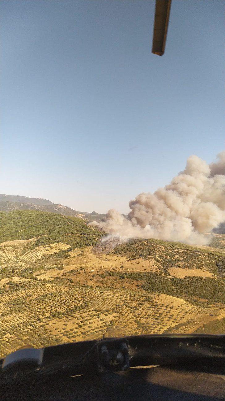 Manisa’da orman yangını çıktı G1
