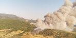 Incendie de forêt terrifiant à Manisa et Kütahya