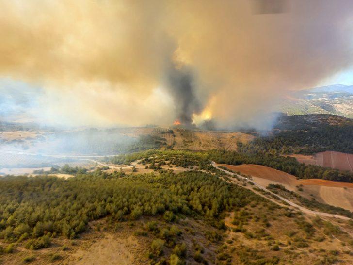Manisa’da orman yangını çıktı G3
