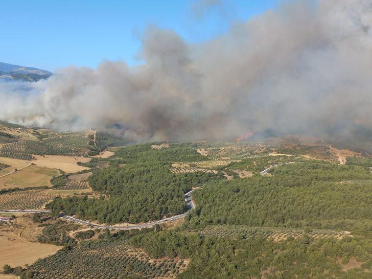 Manisa’da orman yangını çıktı G4