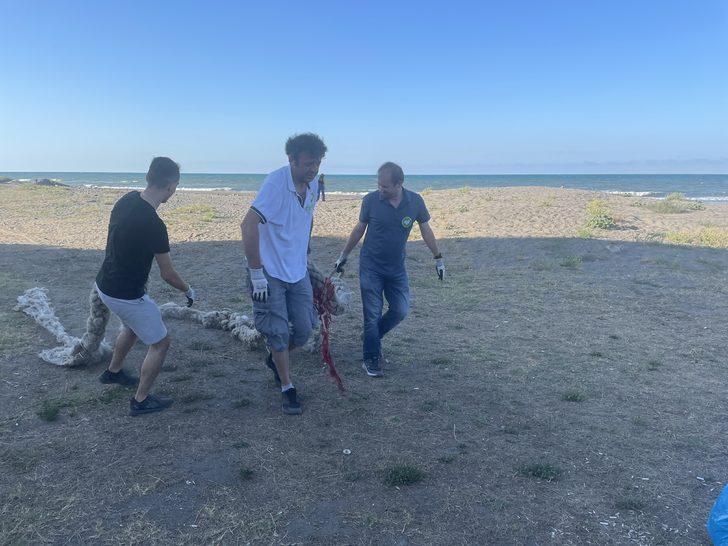 Ahbap gönüllüleri Samsun ve Tokat'ta çevre temizliği yaptı G4