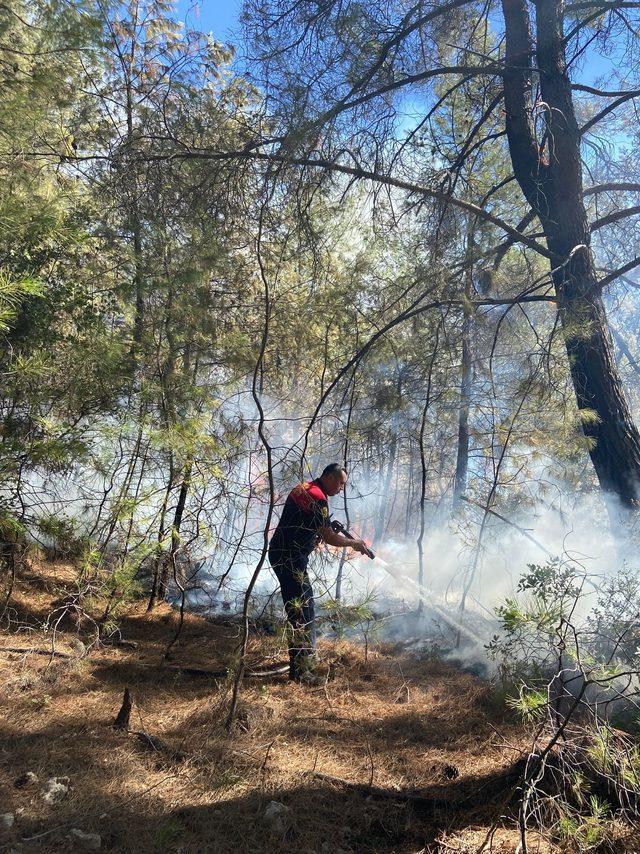 Milas'ta orman ve makilik alanda çıkan yangın kontrol altına alındı