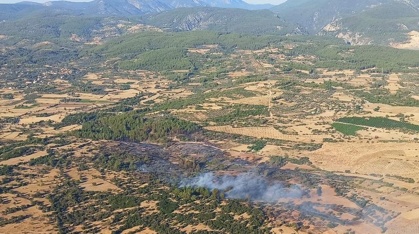 GÜNCELLEME - Milas'ta orman ve makilik alanda çıkan yangın kontrol altına alındı