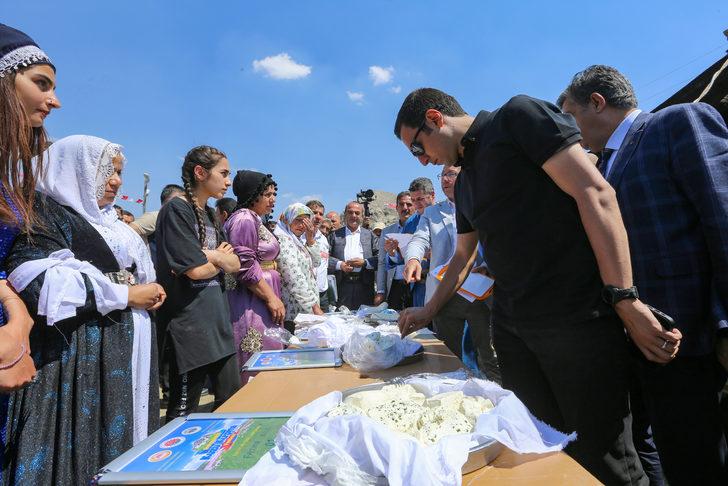 Şırnak'ta "Geleneksel Kuzu Kırpma Festivali" düzenlendi G3