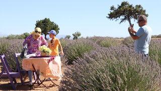 Isparta'da lavanta kokulu köyde hafta sonu yoğunluğu