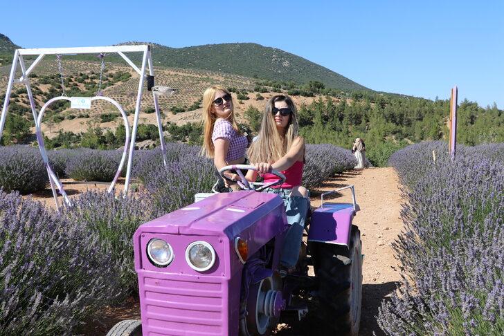 Isparta'da "lavanta kokulu köy"de hafta sonu yoğunluğu G3