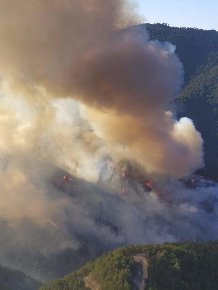 GÜNCELLEME - Kütahya'da çıkan orman yangınına müdahale ediliyor G2