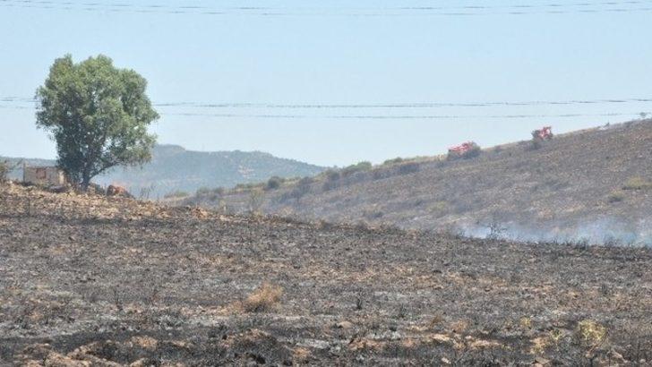Aliağa’daki yangında 10 hektarlık alan kül oldu
