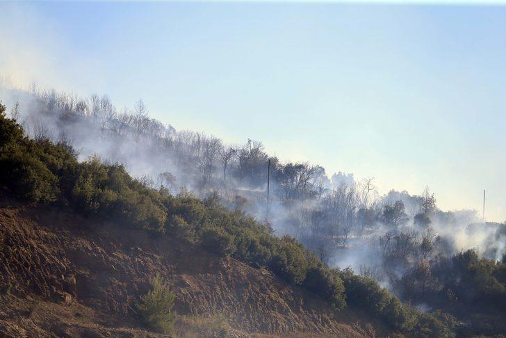 GÜNCELLEME - Uşak'ta makilik alanda çıkan yangın kontrol altına alındı G2