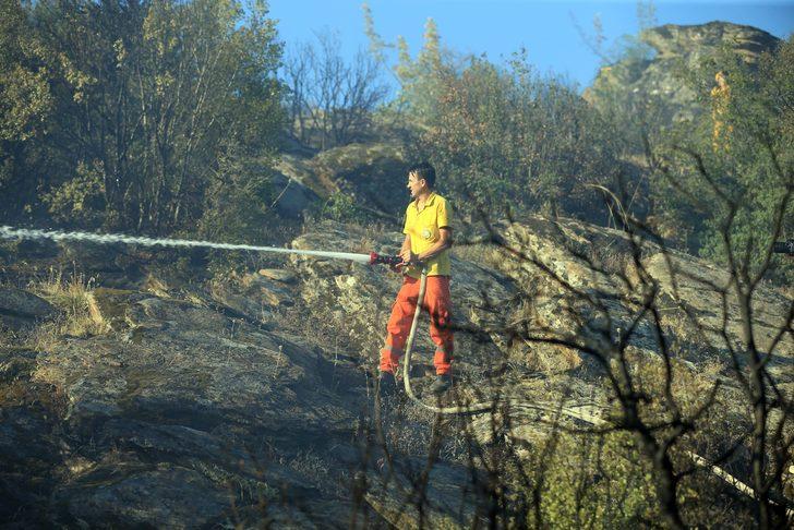 GÜNCELLEME - Uşak'ta makilik alanda çıkan yangın kontrol altına alındı G5
