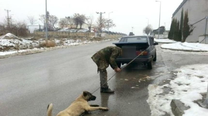 Otomobilin arkasına bağlanan kangal görenleri şoke etti