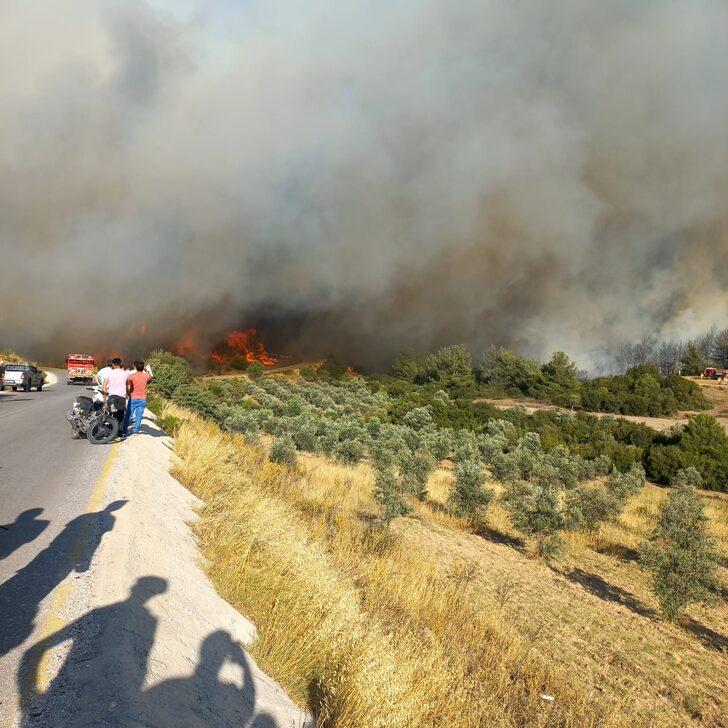 GÜNCELLEME 2 - Manisa'da orman yangınına müdahale sürüyor G1