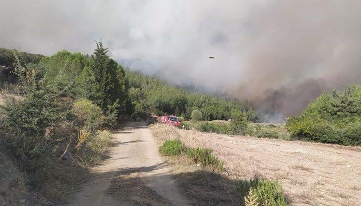 GÜNCELLEME 2 - Manisa'da orman yangınına müdahale sürüyor G4