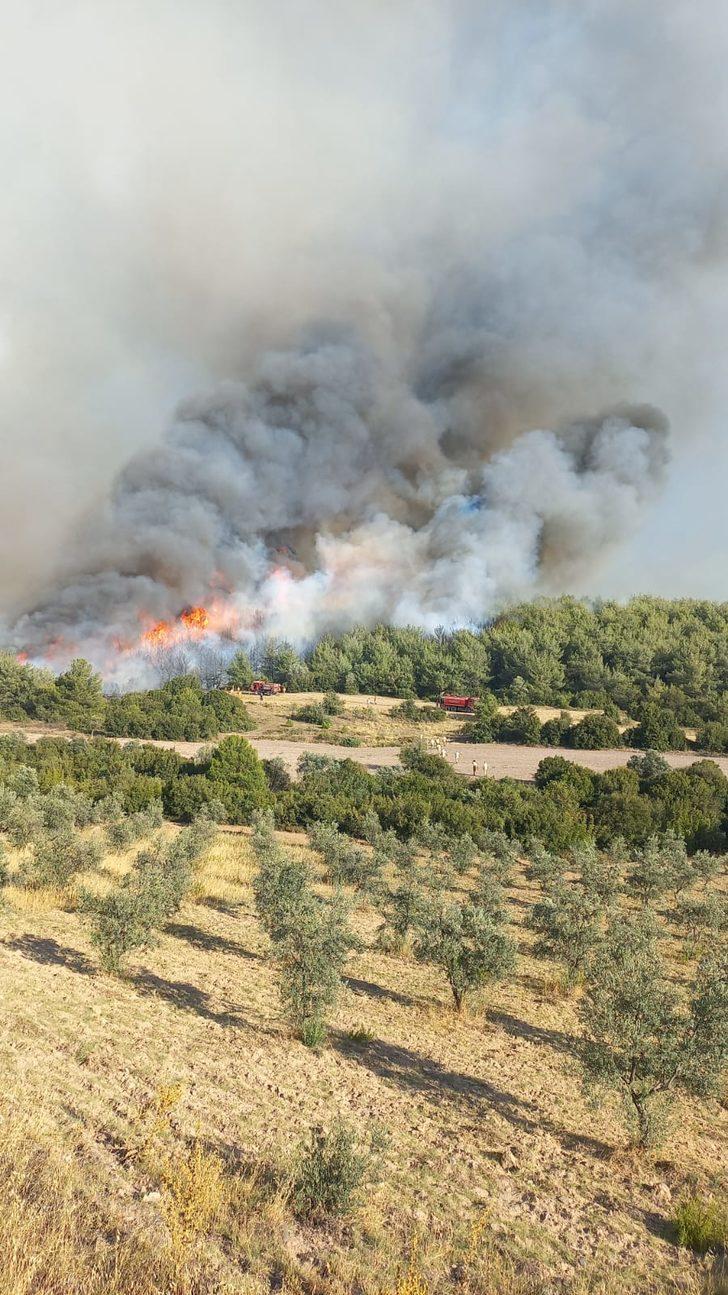 GÜNCELLEME 2 - Manisa'da orman yangınına müdahale sürüyor G5