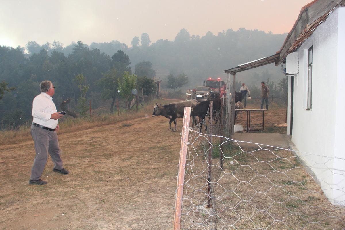 G&Uuml;NCELLEME 2 - K&uuml;tahya'da &ccedil;ıkan orman yangınına m&uuml;dahale ediliyor