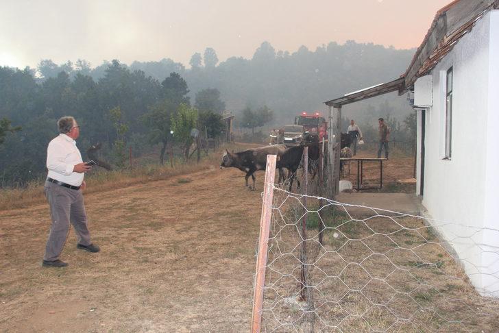 Kütahya'da çıkan orman yangınına gece görüşlü helikopterle müdahale ediliyor G1