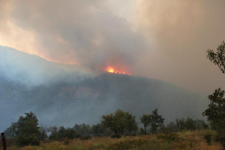 Kütahya'da çıkan orman yangınına gece görüşlü helikopterle müdahale ediliyor G2