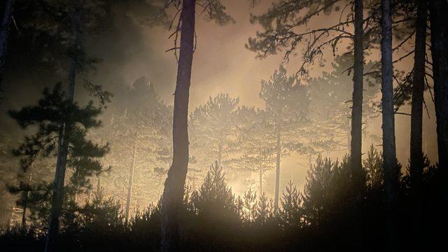 Kütahya'da çıkan orman yangınına gece görüşlü helikopterlerle müdahale ediliyor