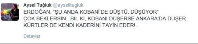 Rakamlarla 7 yılda terör ve çözüm süreci 11