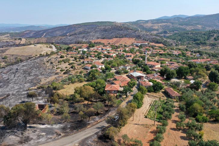 Manisa'da yangının söndürüldüğü ormanlık alanda hasar tespit çalışmaları yapılıyor G1