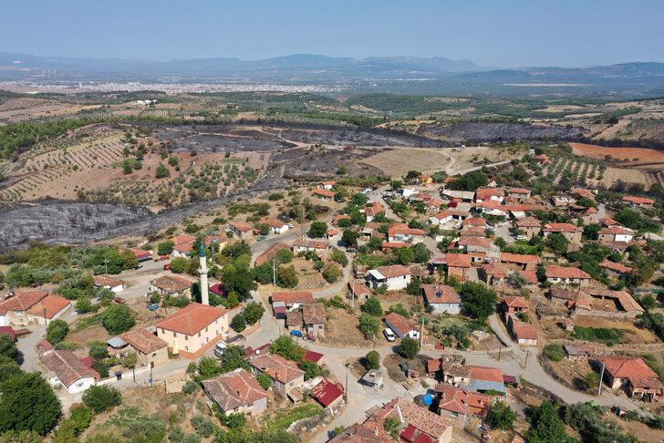 Manisa'da yangının söndürüldüğü ormanlık alanda hasar tespit çalışmaları yapılıyor G3