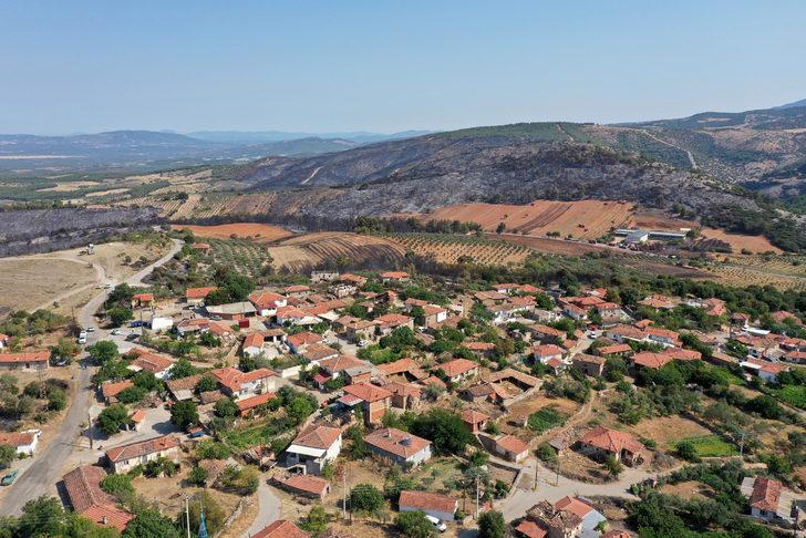 Manisa'da yangının söndürüldüğü ormanlık alanda hasar tespit çalışmaları yapılıyor G4