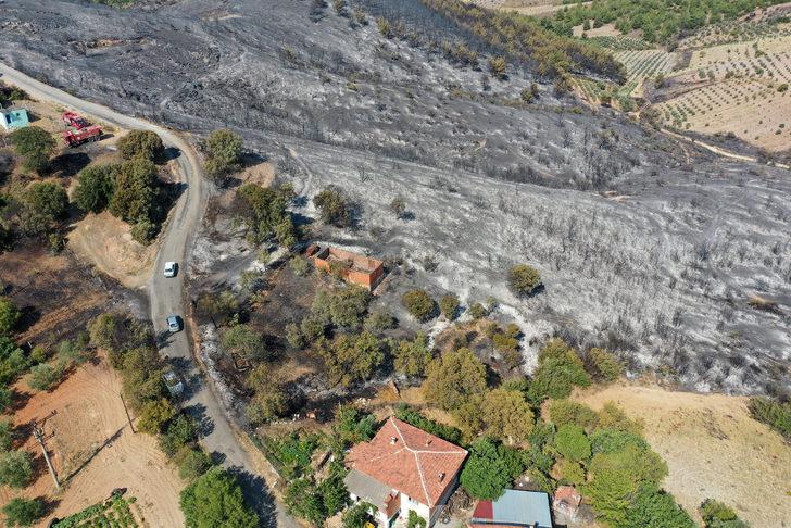 Manisa'da yangının söndürüldüğü ormanlık alanda hasar tespit çalışmaları yapılıyor G5