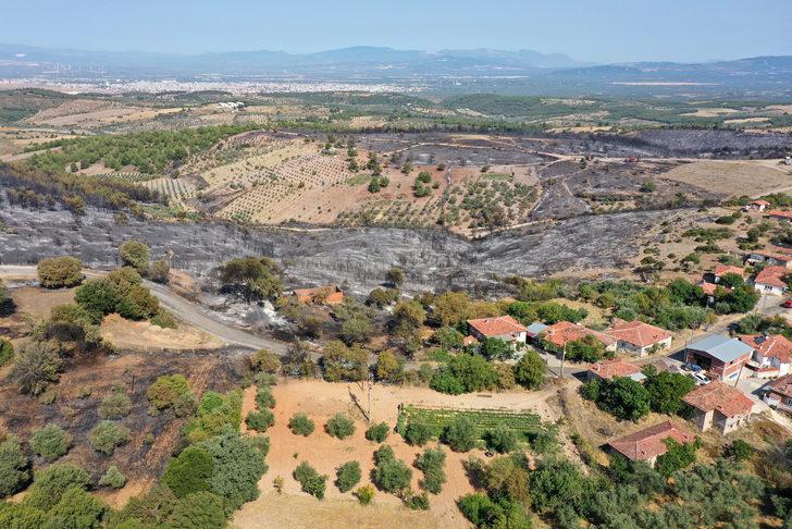 Manisa'da yangının söndürüldüğü ormanlık alanda hasar tespit çalışmaları yapılıyor G2