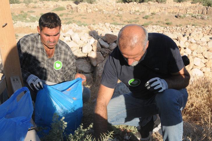 Ahbap gönüllülerinden Dara Antik Kenti'nde çevre temizliği G4