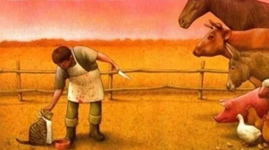 Boğaziçi Üniversitesi’nde vegan yemek skandalı