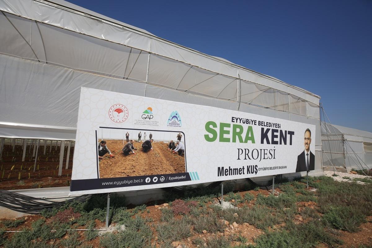 Şanlıurfa'da belediye serasında yetiştirilen sebzeler, semt pazarlarında satılıyor