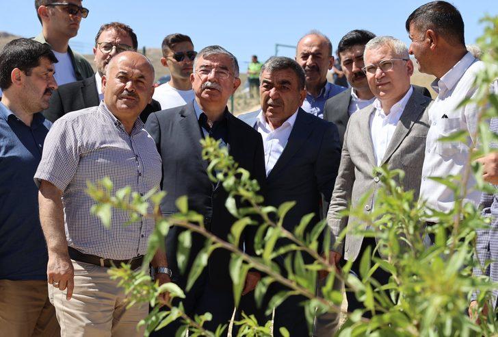 Kayısı üretiminde ilk 10'da yer alan Gürün'de hasat başladı G3