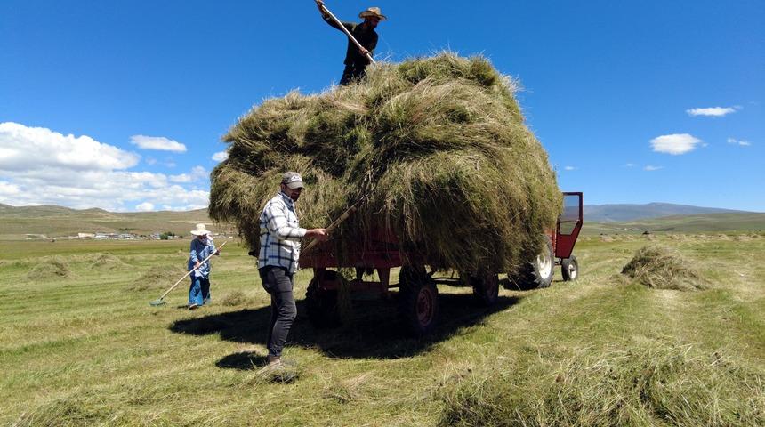 Ardahan'da çiftçiler tırpan ile ot hasadına başladı