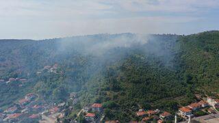 Sakarya'da çıkan orman yangınına müdahale ediliyor