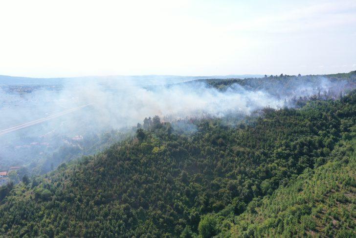 Sakarya'da çıkan orman yangınına müdahale ediliyor G2