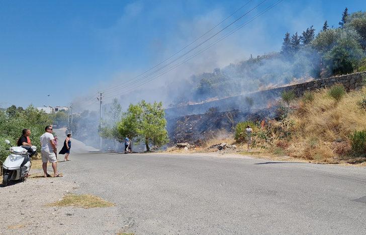 Bodrum'da binaların arasındaki çalılık alanda çıkan yangın söndürüldü G2