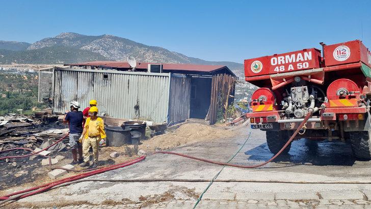 Bodrum'da binaların arasındaki çalılık alanda çıkan yangın söndürüldü G4